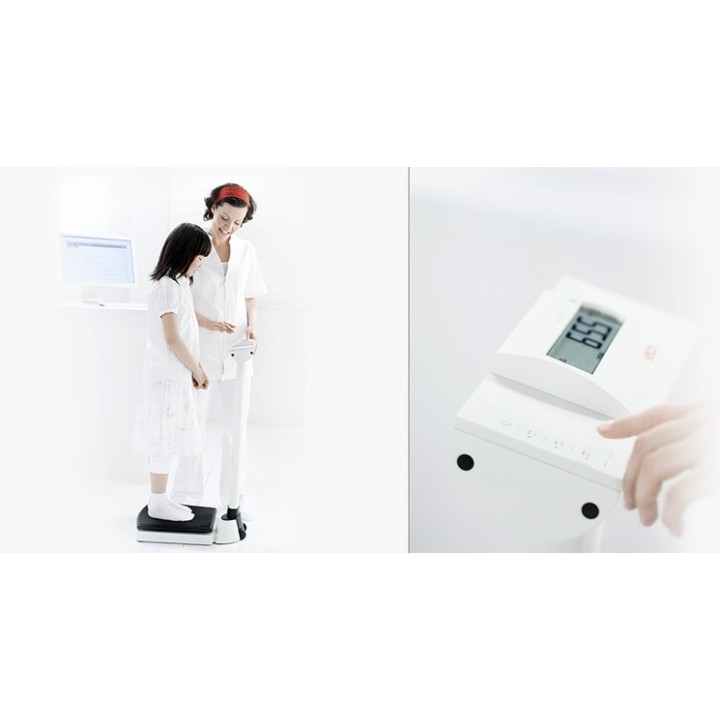 seca 704r Bilancia a colonna con interfaccia RS232