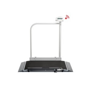 Multifunctional scales