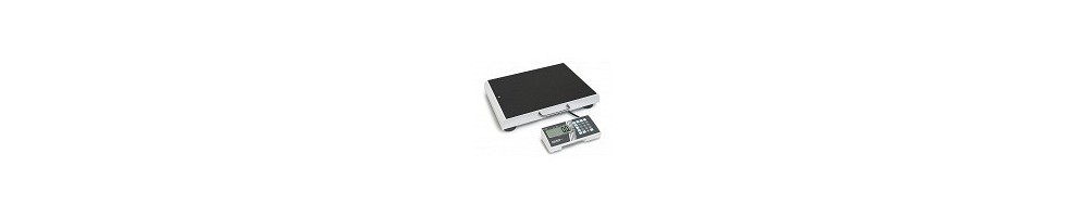 Compact personal floor scale with adiposity range