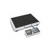 Obesity scales