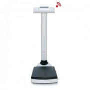 Column scales