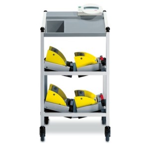 Bed and dialysis scale