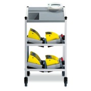 Bed and dialysis scale